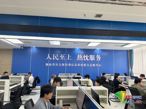社保聯合運維中心 數據不擁堵，群眾少跑腿，貿易咨詢更便捷